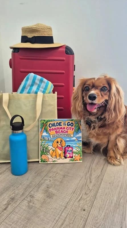 Chloe with the Panama City Beach book