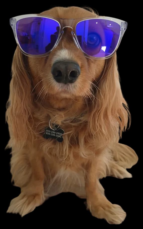 Chloe wearing sunglasses