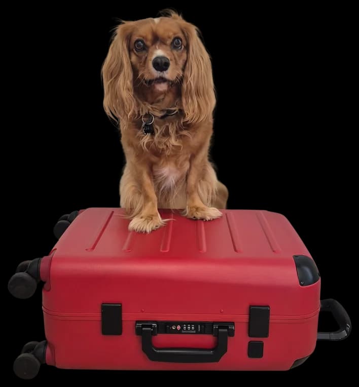 Chloe sitting on her red suitcase